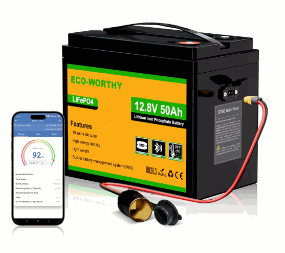 ECO-WORTHY 12V 50Ah (Bluetooth)